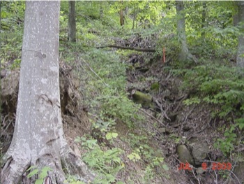 Typical Appalachian Ephemeral Stream